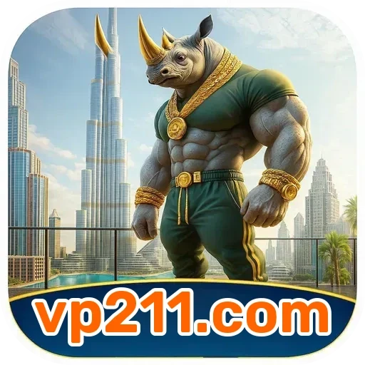 vp211.com Segurança