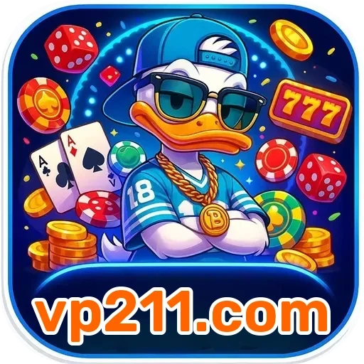 vp211.com Suporte 24/7